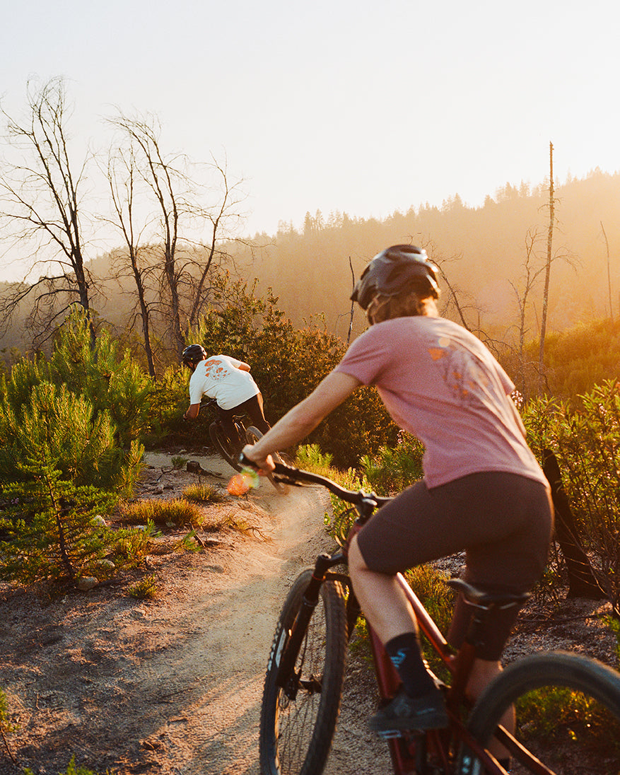 MY26 Ibis Cycles Ripley AF – Rowney Sports